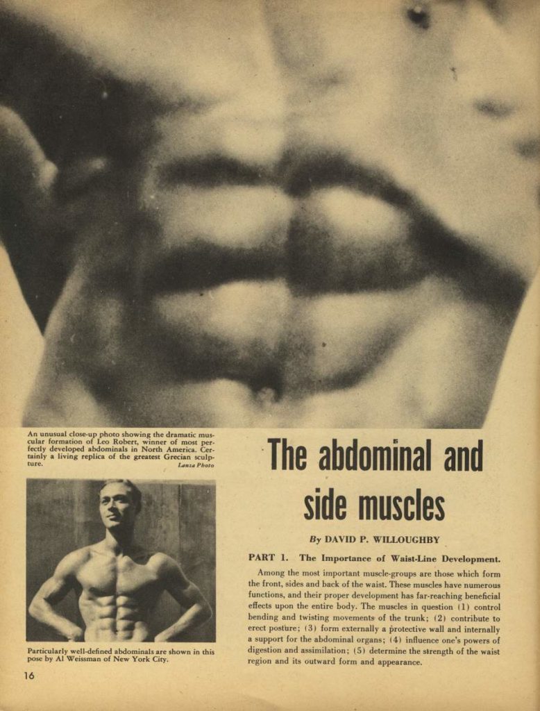 An unusual close-up photo showing the dramatic mus- cular formation of Leo Robert, winner of most per fectly developed abdominals in North America. Cer- tainly a living replica of the greatest Grecian sculp ture. La Photo
The abdominal and side muscles
By DAVID P. WILLOUGHBY
PART 1. The Importance of Waist-Line Development.
Among the most important muscle-groups are those which form the front, sides and back of the waist. These muscles have numerous functions, and their proper development has far-reaching beneficial effects upon the entire body. The muscles in question (1) control bending and twisting movements of the trunk; (2) contribute to erect posture; (3) form externally a protective wall and internally a support for the abdominal organs; (4) influence one's powers of digestion and assimilation: (5) determine the strength of the waist region and its outward form and appearance.
Particularly well-defined abdominals are shown in this pose by Al Weissman of New York City.
16