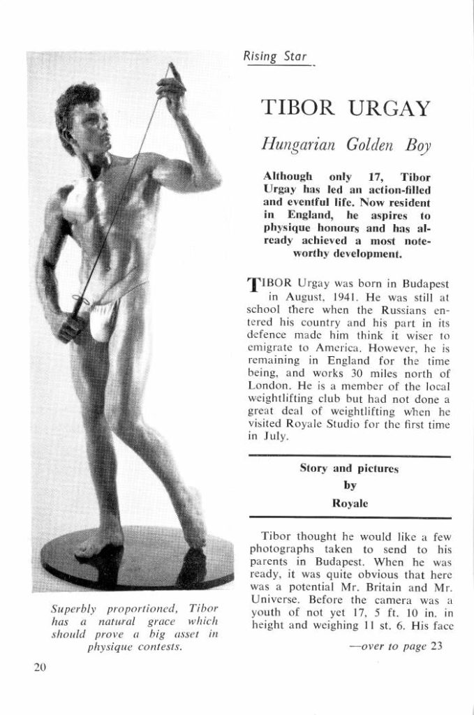 Rising Star
TIBOR URGAY
Hungarian Golden Boy
Although only 17, Tibor Urgay has led an action-filled and eventful life. Now resident in England, he aspires to physique honours and has al- ready achieved a most note- worthy development.
TIBOR Urgay was born in Budapest in August, 1941. He was still at school there when the Russians en- tered his country and his part in its defence made him think it wiser to emigrate to America. However, he is remaining in England for the time being, and works 30 miles north of London. He is a member of the local weightlifting club but had not done a great deal of weightlifting when he visited Royale Studio for the first time. in July.
Story and pictures by Royale
Tibor thought he would like a few photographs taken to send to his parents in Budapest. When he was ready, it was quite obvious that here. was a potential Mr. Britain and Mr. Universe. Before the camera was youth of not yet 17, 5 ft. 10 in. in height and weighing 11 st. 6. His face
-over to page 23
Superbly proportioned, Tibor has a natural grace which should prove a big asset in physique contests.
20