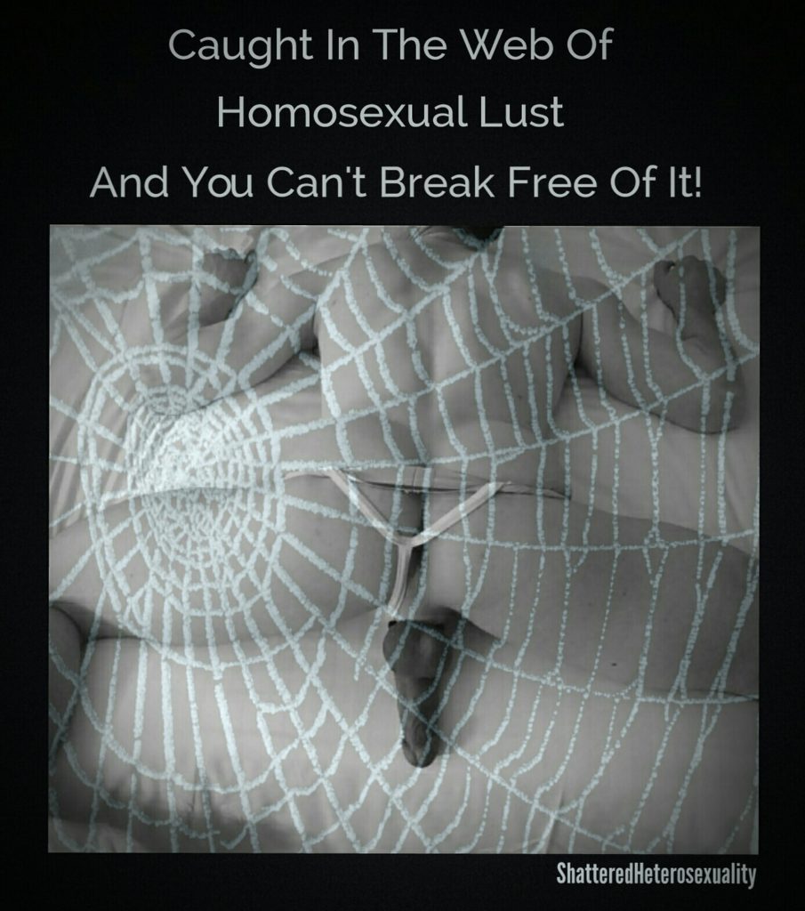 Caught In The Web Of
Homosexual Lust And You Can't Break Free Of It!
Shattered Heterosexuality