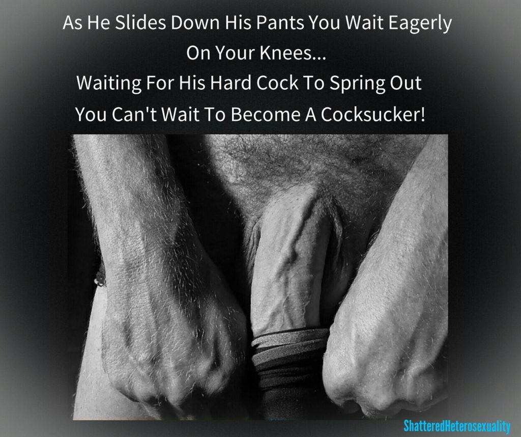 As He Slides Down His Pants You Wait Eagerly On Your Knees...
Waiting For His Hard Cock To Spring Out You Can't Wait To Become A Cocksucker!
Shattered Heterosexuality