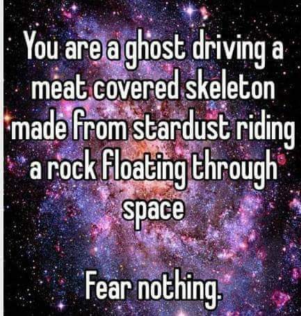 You are a ghost driving a meat covered skeleton made from stardust riding a rock floating through Space
Fear nothing.