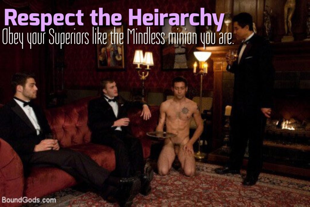 Respect the Heirarchy,
Obey your Superiors like the Mindless minion you are.
BoundGods.com