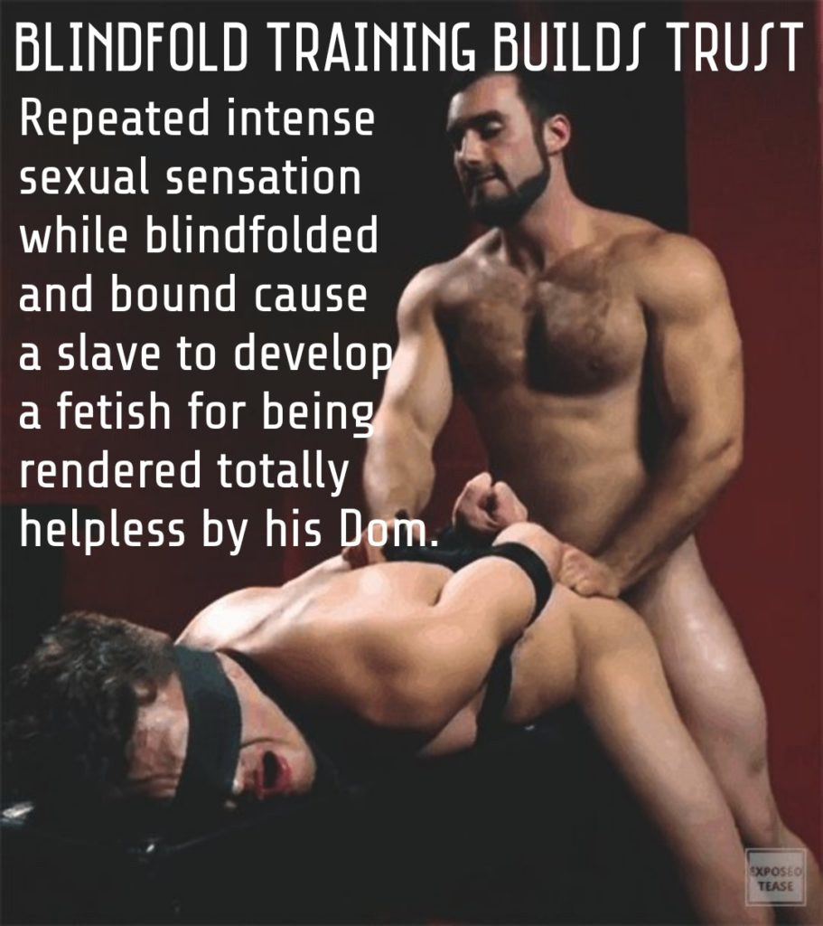 BLINDFOLD TRAINING BUILDS TRUST
Repeated intense sexual sensation while blindfolded and bound cause a slave to develop a fetish for being rendered totally helpless by his Dom.
EXPOSED TEASE