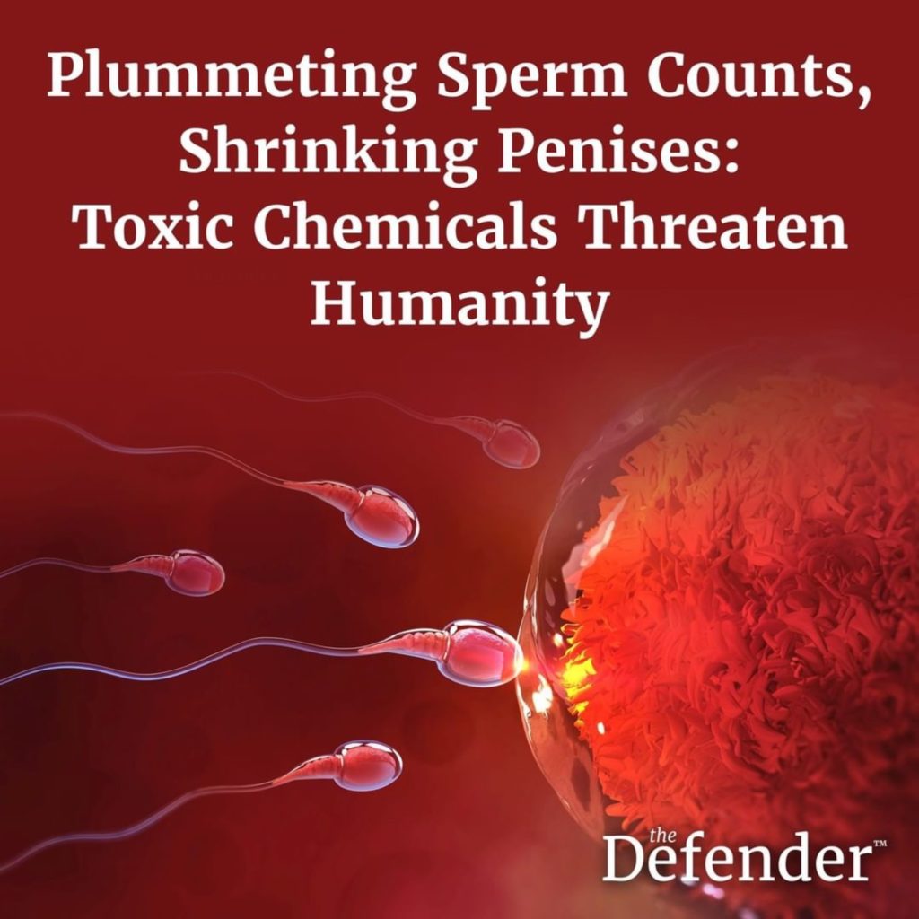 Plummeting Sperm Counts, Shrinking Penises: Toxic Chemicals Threaten Humanity
Defender™