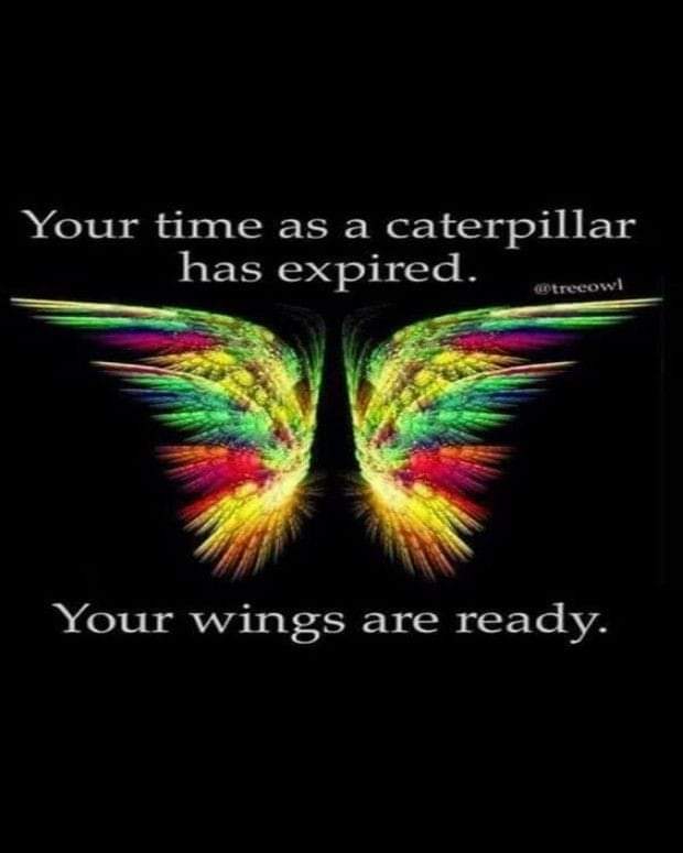 Your time as a caterpillar has expired.

Your wings are ready.