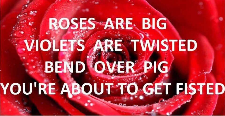 ROSES ARE BIG
VIOLETS ARE TWISTED
BEND OVER PIG
YOU'RE ABOUT TO GET FISTED