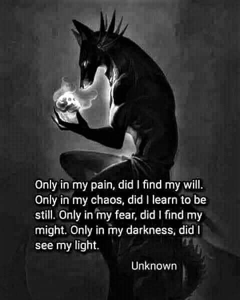 Only in my pain, did I find my will. Only in my chaos, did I learn to be still. Only in my fear, did I find my might. Only in my darkness, did I see my light.
Unknown