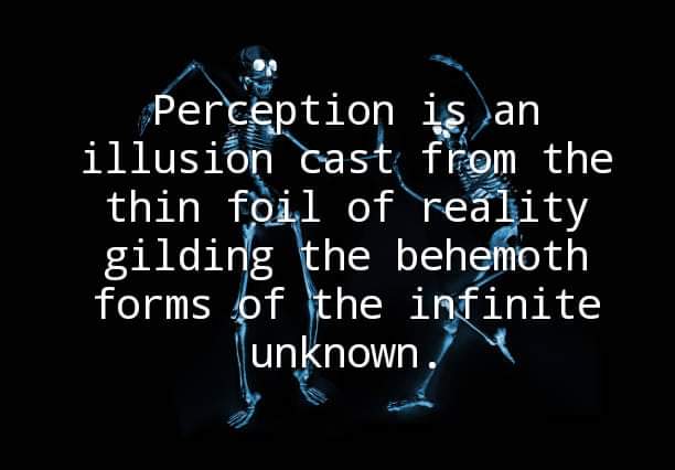 Perception is an illusion cast from the thin foil of reality gilding the behemoth forms of the infinite unknown.