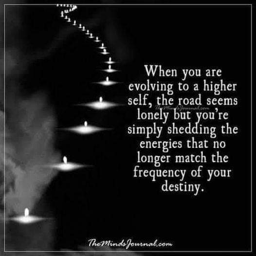 When you are evolving to a higher self, the road seems lonely but you're simply shedding the energies that no longer match the frequency of your destiny.
The Minds Journal.com