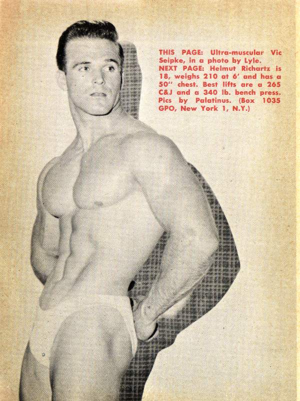 THIS PAGE: Ultra-muscular Vic Seipke, in a photo by Lyle. NEXT PAGE: Helmut Richartz is 18, weighs 210 at 6' and has a 50" chest. Best lifts are a 265 C&J and a 340 lb. bench press. Pics by Palatinus. (Box 1035 GPO, New York 1, N.Y.)