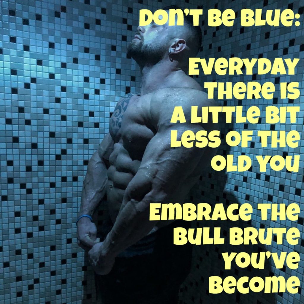 DON'T BE BLue:
EVERYDAY THERE IS A LITTLE BIT Less OF THE OLD YOU
EMBRACE THE BULL BRUTE YOU'VE Become