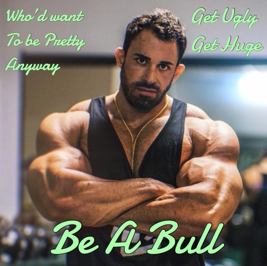 Who'd want To be Pretty Anyway
Get Valy Get Huge
Be A Bull