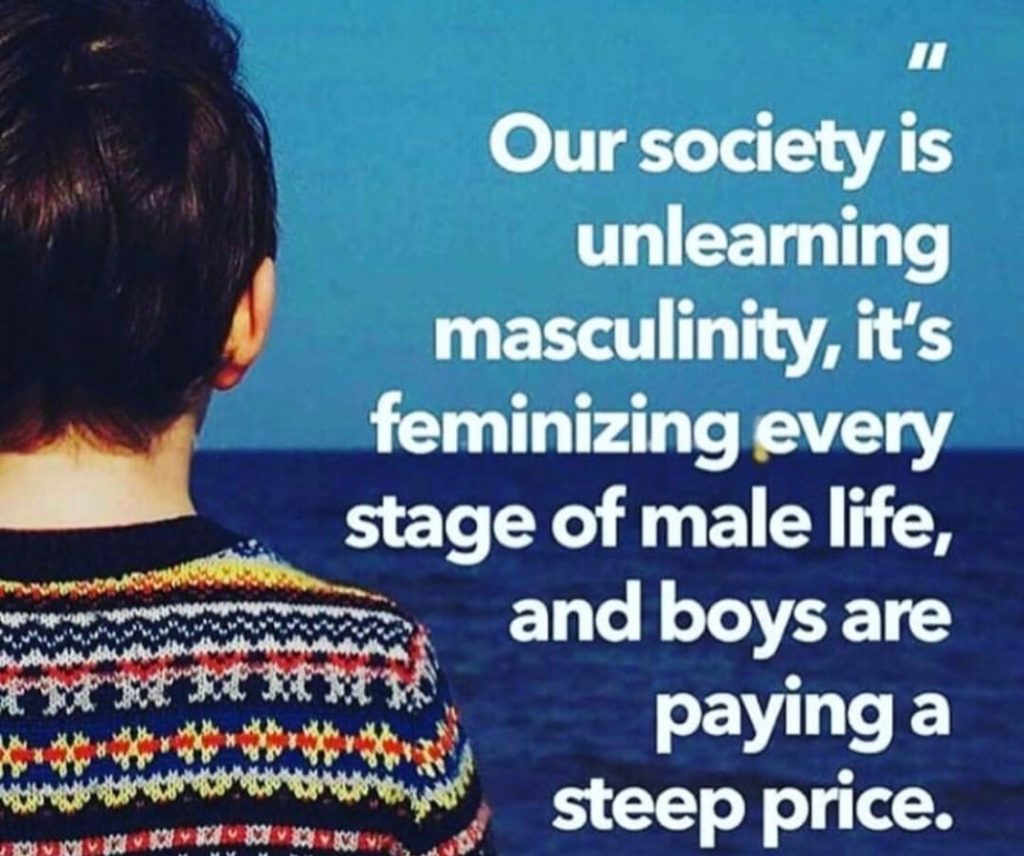 Our society is unlearning masculinity, it's feminizing every stage of male life, and boys are paying a steep price.