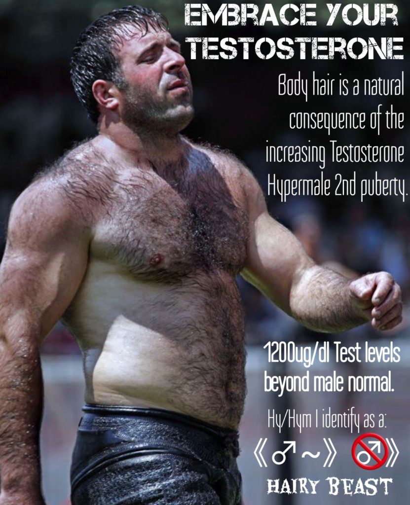 EMBRACE YOUR TESTOSTERONE
Body hair is a natural consequence of the increasing Testosterone Hypermale 2nd puberty.
1200ug/dl Test levels beyond male normal.
Hy/Hym I identify as a 2 HAIRY BEAST