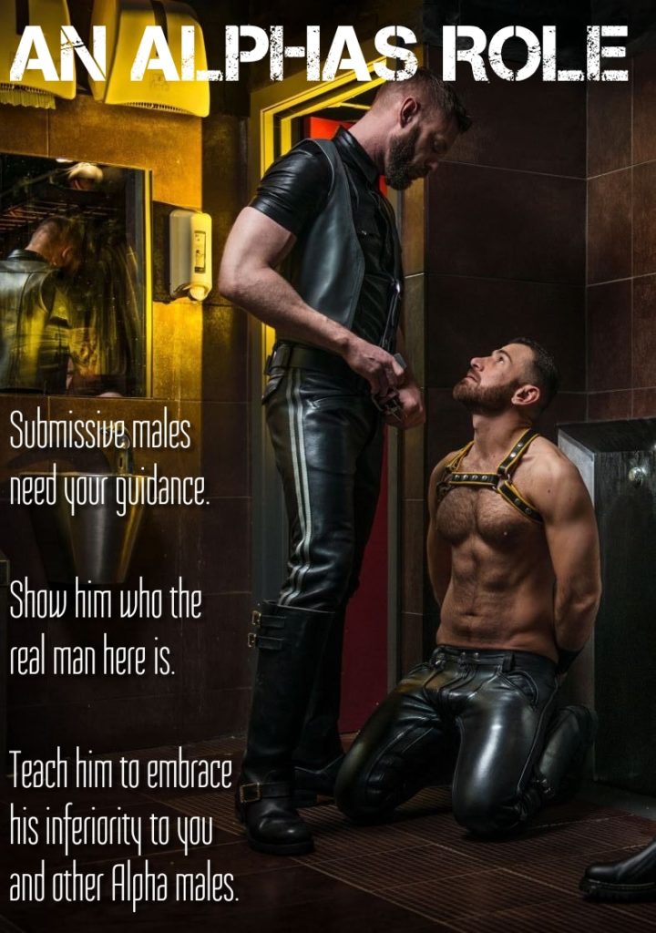 AN ALPHAS ROLE
Submissive males need your guidance.
Show him who the real man here is.
Teach him to embrace his inferiority to you and other Alpha males.