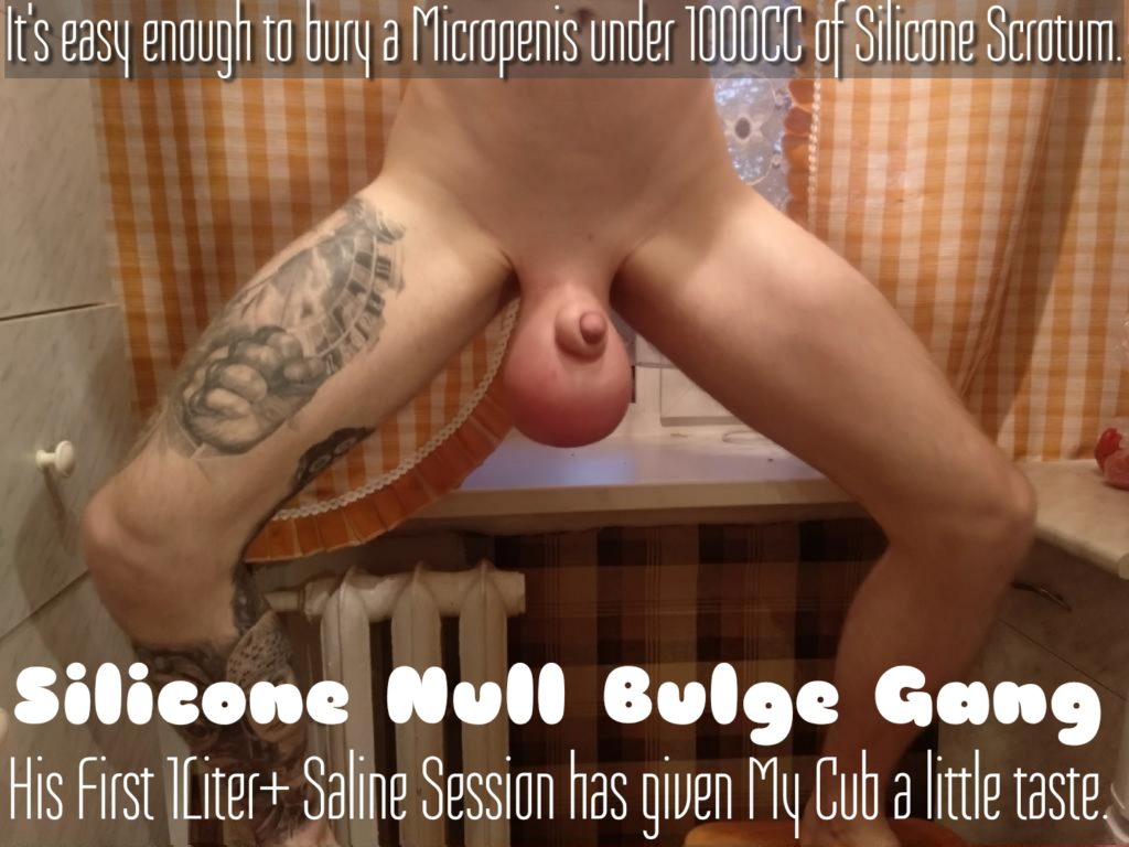 It's easy enough to bury a Micropenis under 1000CC of Silicone Scrotum.
Silicone Null Bulge Gang
His First Liter+ Saline Session has given My Cub a little taste