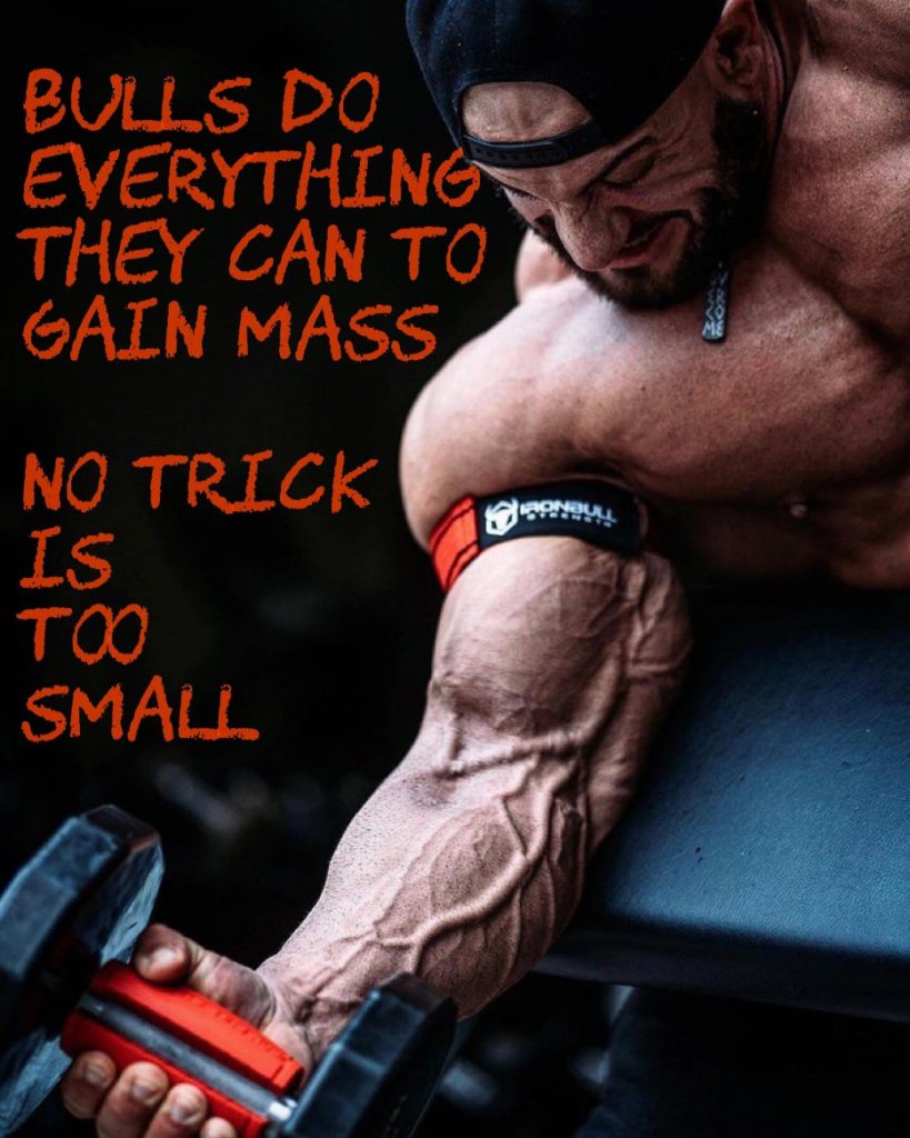 BULLS DO EVERYTHING THEY CAN TO GAIN MASS
NO TRICK IS TOO SMALL