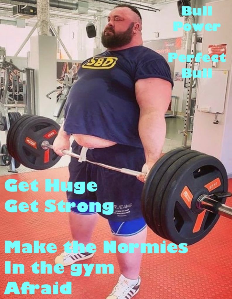 Bull
Power
Perfect Bull
SBD
Get Huge Get Strong
Make e Normies In the gym Afraid