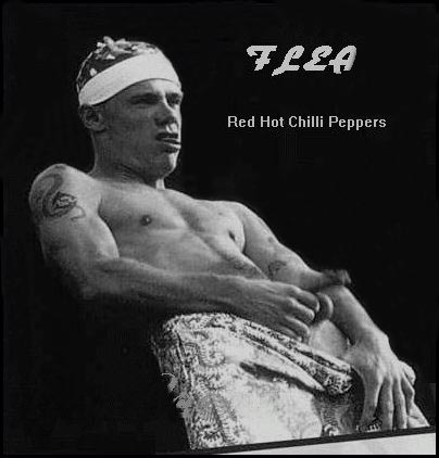 Austrailian musician Flea, bass player for the Red Hot Chili Peppers is famously prone to performing nude.