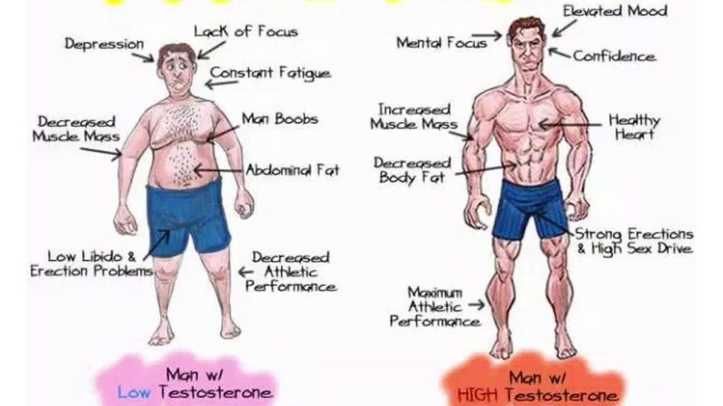 Depression
Lack of Focus
Constant Fatigue
Man Boobs
Abdominal Fat
Decreased Body Fat
Elevated Mood
Mental Focus
Decreased Muscle Mass
Increased Muscle Mass
-Confidence
Healthy Heart
Strong Erections & High Sex Drive
Low Libido & Erection Problems
Decreased Athletic Performance
Maximum Athletic → Performance
Man w/ Low Testosterone
Man w/ HIGH Testosterone