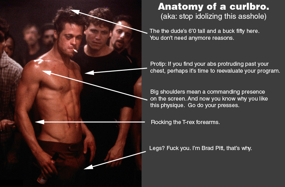 Anatomy of a curlbro. (aka: stop idolizing this asshole)
The the dude's 6'0 tall and a buck fifty here. You don't need anymore reasons.
Protip: If you find your abs protruding past your chest, perhaps it's time to reevaluate your program.
Big shoulders mean a commanding presence on the screen. And now you know why you like this physique. Go do your presses.
Rocking the T-rex forearms.
Legs? Fuck you. I'm Brad Pitt, that's why.