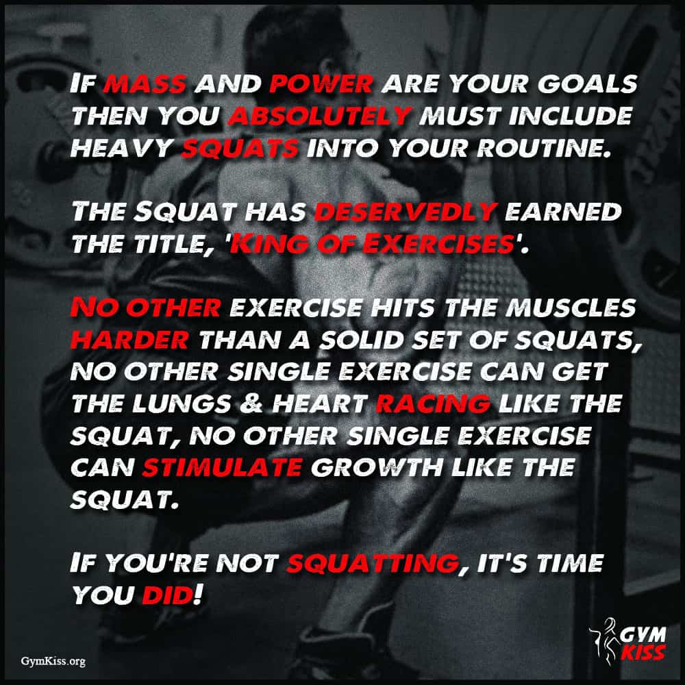 IF MASS AND POWER ARE YOUR GOALS THEN YOU ABSOLUTELY MUST INCLUDE HEAVY SQUATS INTO YOUR ROUTINE.
THE SQUAT HAS DESERVEDLY EARNED THE TITLE, KONG OPEXERCISES'.
NO OTHER EXERCISE HITS THE MUSCLES HARDER THAN A SOLID SET OF SQUATS, NO OTHER SINGLE EXERCISE CAN GET THE LUNGS & HEART RACING LIKE THE SQUAT, NO OTHER SINGLE EXERCISE CAN STIMULATE GROWTH LIKE THE SQUAT.
IF YOU'RE NOT SQUATTING, IT'S TIME YOU DID!
Gymkiss.org
GYM KISS