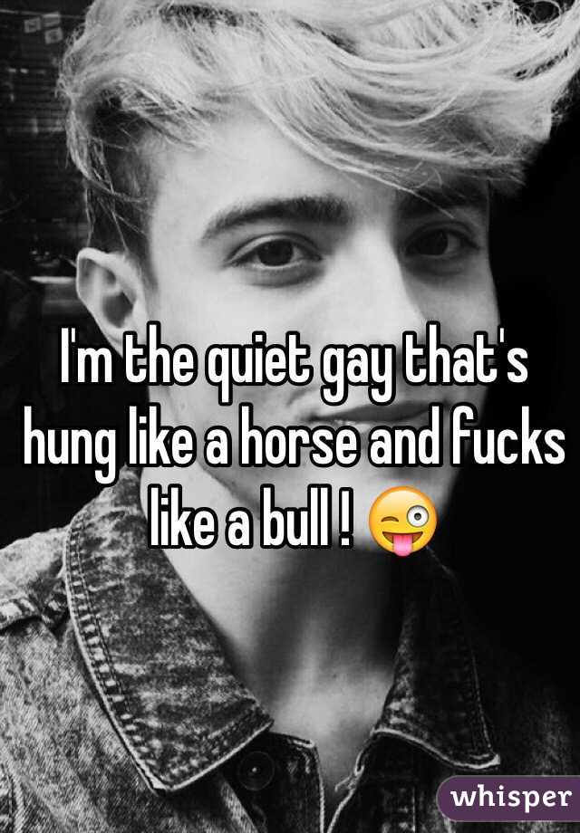 I'm the quiet gay that's hung like a horse and fucks like a bull!
whisper