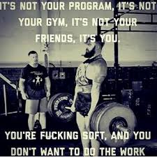 IT'S NOT YOUR PROGRAM, IT'S NOT YOUR GYM, IT'S NOT YOUR FRIENDS, IT'S YOU
YOU'RE FUCKING SOFT, AND YOU
DON'T WANT TO DO THE WORK
102