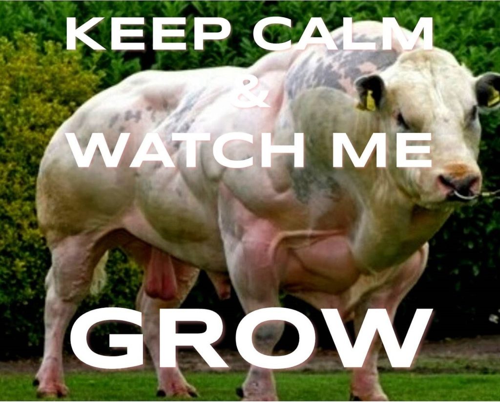 KEEP CALM
WATCH ME
GROW