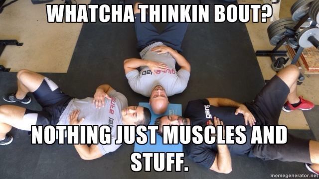 WHATCHA THINKIN BOUT?
Qute la NOTHING JUST MUSCLES AND STUFF.
memegenerator.net