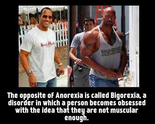 PHYSIQUE BODYWARS
The opposite of Anorexia is called Bigorexia, a disorder in which a person becomes obsessed with the idea that they are not muscular enough.