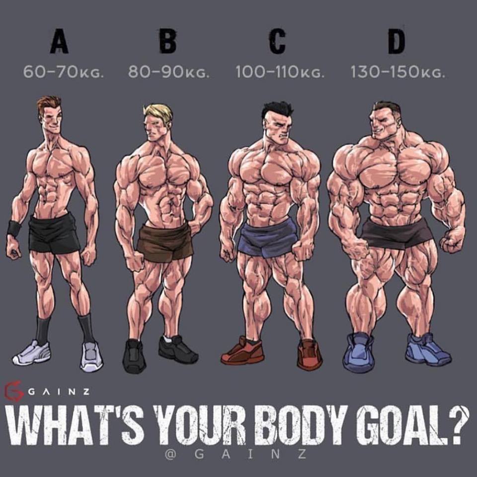 A 60-70KG.
B 80-90KG.
C 100-110KG.
D 130-150KG.

GAINZ
WHAT'S YOUR BODY GOAL?
@GAINZ