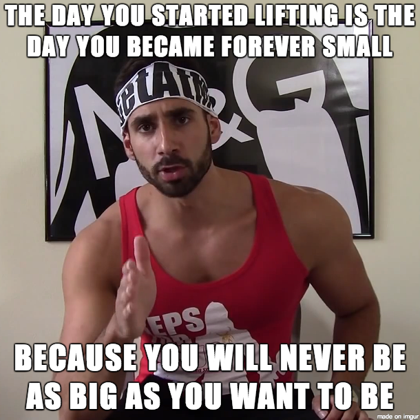 THE DAY YOU STARTED LIFTING IS THE DAY YOU BECAME FOREVER SMALL
 BECAUSE YOU WILL NEVER BE AS BIG AS YOU WANT TO BE 
made on imgur