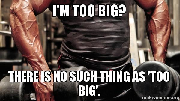 I'M TOO BIG?
THERE IS NO SUCH THING AS 'TOO BIG'.
makeameme.org