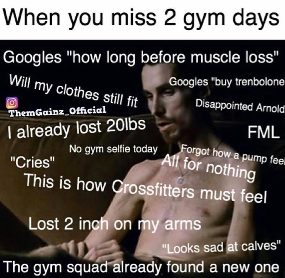 When you miss 2 gym days
Googles "how long before muscle loss"
Will my clothes still fit
O
ThemGainz_Official
I already lost 20lbs
No gym selfie today
Googles "buy trenbolone
Disappointed Arnold
FML
Forgot how a pump feel All for nothing
"Cries"
This is how Crossfitters must feel
Lost 2 inch on my arms
"Looks sad at calves"
The gym squad already found a new one