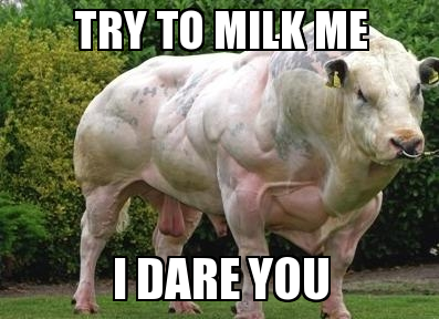 TRY TO MILK ME
I DARE YOU