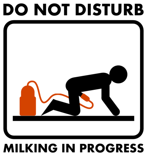 DO NOT DISTURB
MILKING IN PROGRESS