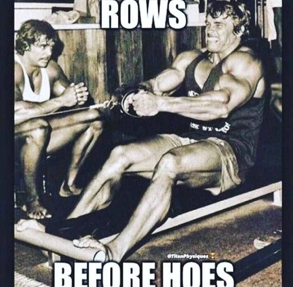 ROWS

BEFORE HOES