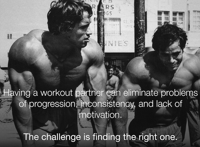 Having a workout partner can eliminate problems of progression, inconsistency, and lack of motivation.

The challenge is finding the right one.