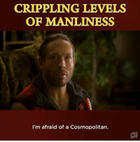 Crippling levels of manliness: I'm afraid of a cosmopolitan.