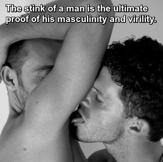 The stink of a man is the ultimate proof of his masculinity and virility.