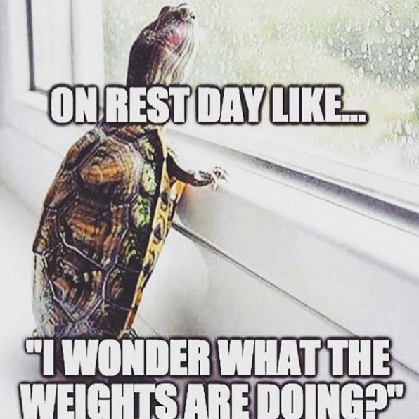 ON REST DAY LIKE...
"I WONDER WHAT THE WEIGHTS ARE DOING?"