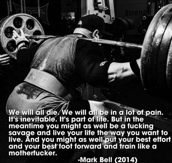 We will all die. We will all be in a lot of pain. It's inevitable. It's part of life. But in the meantime you might as well be a fucking savage and live your life the way you want to live. And you might as well put your best effort and your best foot forward and train like a motherfucker.
-Mark Bell (2014)