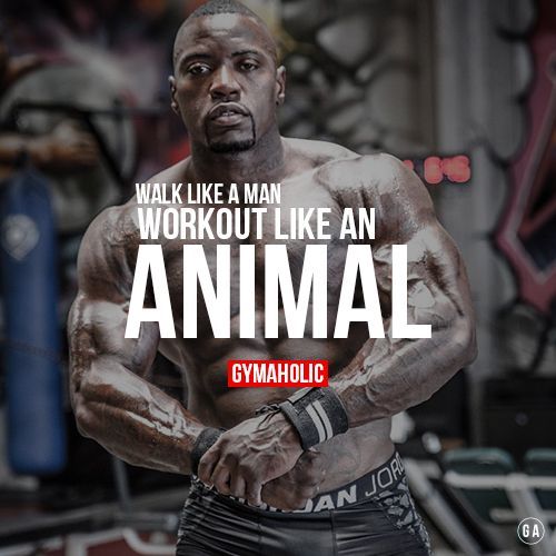 WALK LIKE A MAN WORKOUT LIKE AN ANIMAL
GYMAHOLIC
JAN JOR
GA