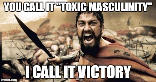 YOU CALL IT "TOXIC MASCULINITY"
I CALL IT VICTORY
imgflip.com