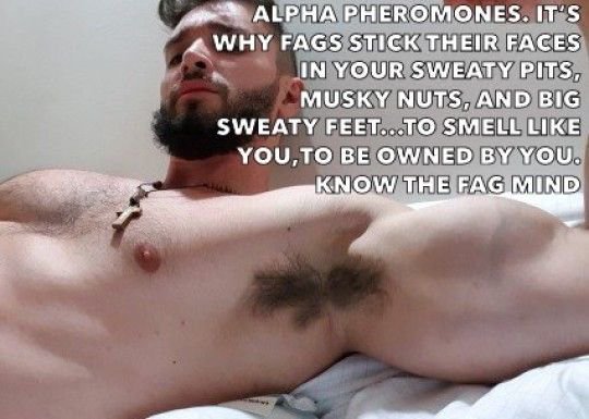 ALPHA PHEROMONES. IT'S WHY FAGS STICK THEIR FACES IN YOUR SWEATY PITS, MUSKY NUTS, AND BIG SWEATY FEET...TO SMELL LIKE YOU, TO BE OWNED BY YOU. KNOW THE FAG MIND