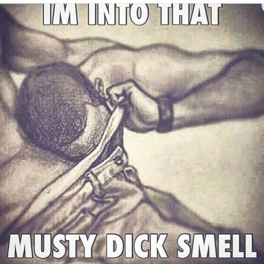 IM INTO THAT
MUSTY DICK SMELL