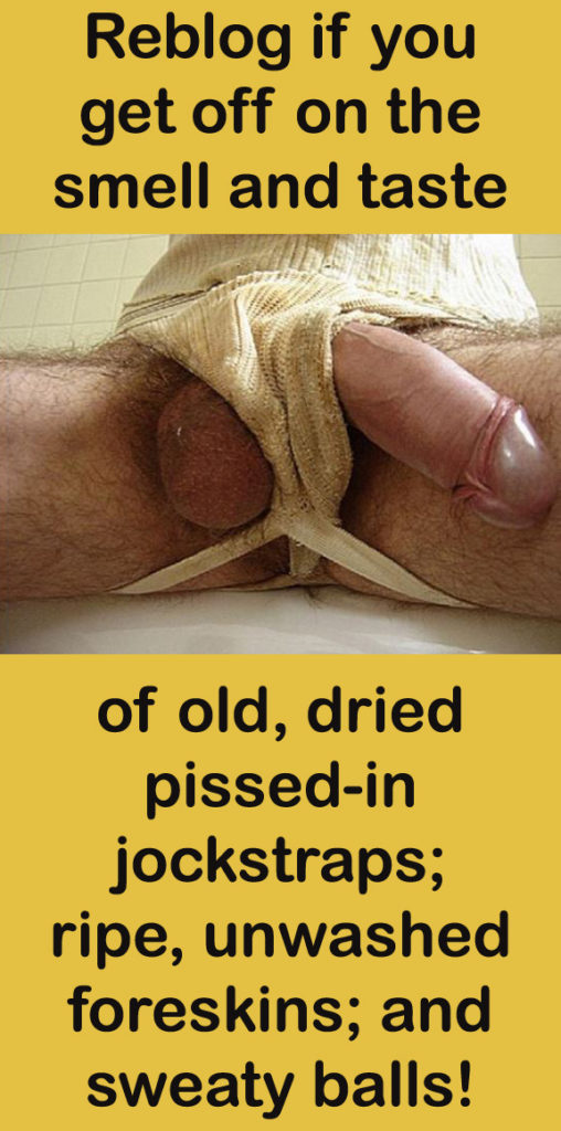 Reblog if you get off on the smell and taste
of old, dried pissed-in jockstraps; ripe, unwashed foreskins; and sweaty balls!