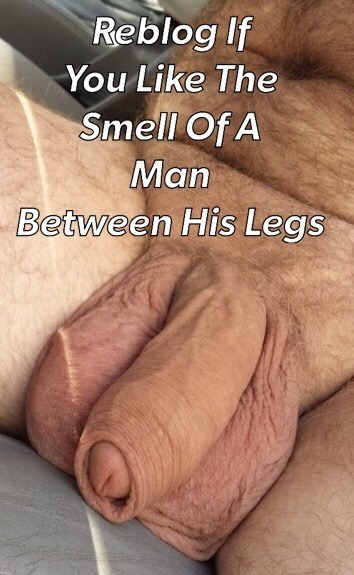 Reblog If You Like The Smell Of A Man Between His Legs