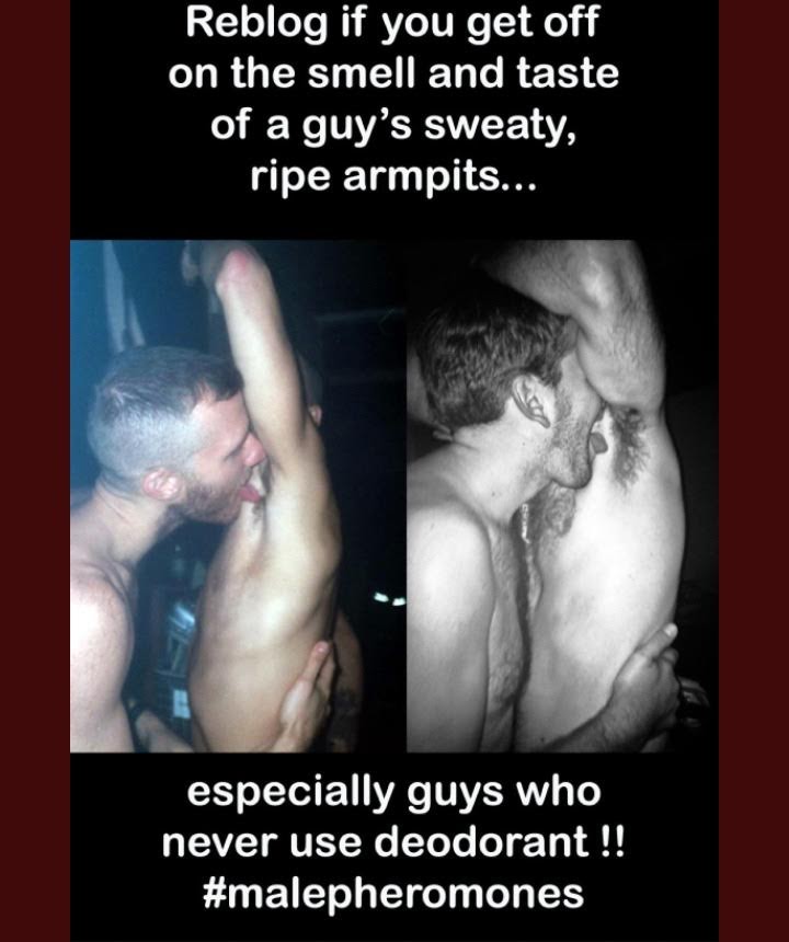 Reblog if you get off on the smell and taste of a guy's sweaty, ripe armpits...
especially guys who never use deodorant !! #malepheromones